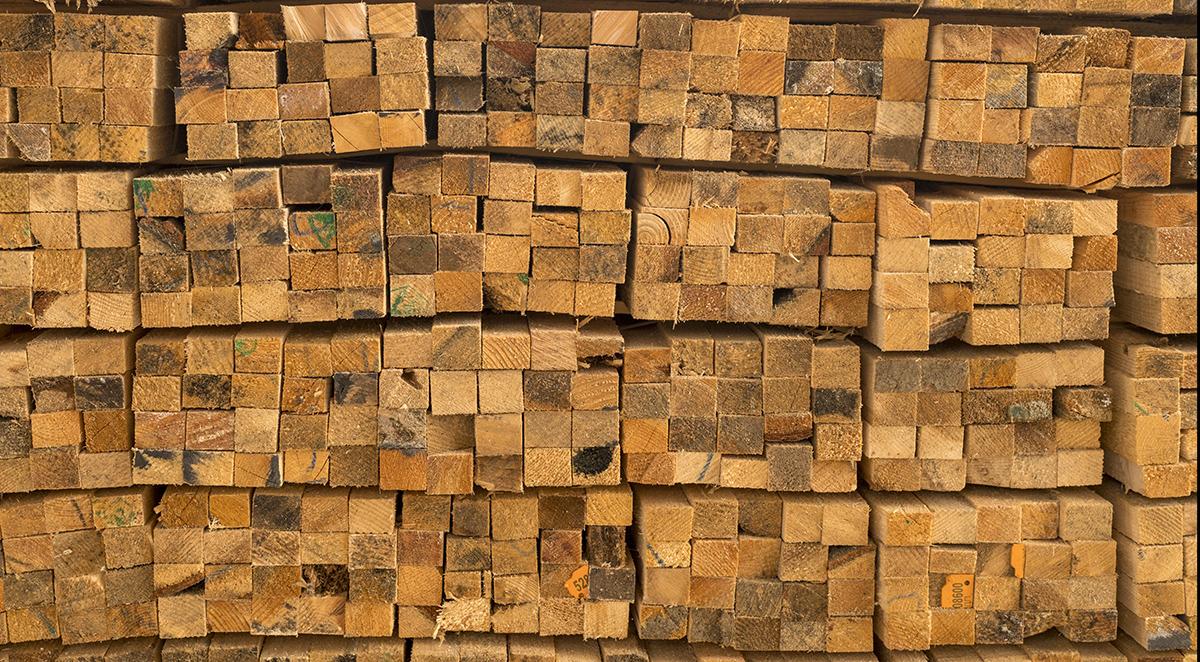 fall_timber_market_outlook_current_trends_price_forecasts image fall timber market outlook current trends price forecasts