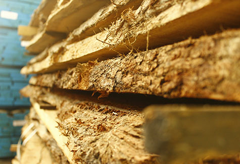 Sawmill Exporter California