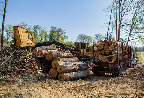 Custom Cut Lumber Wilkes, NC