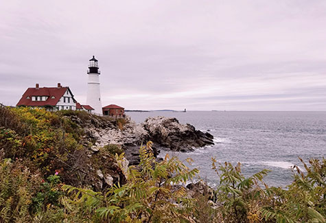 Northeast USA Sawmill Export Service