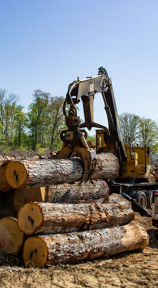 Land Managing and Forestry in North Carolina