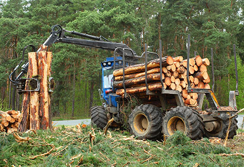 Sawmill and Forestry Services Virginia