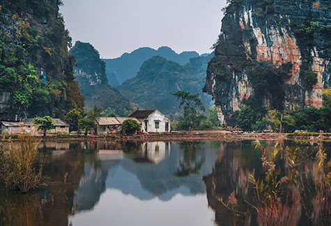 Vietnam Hardwood Sawmill Exporter