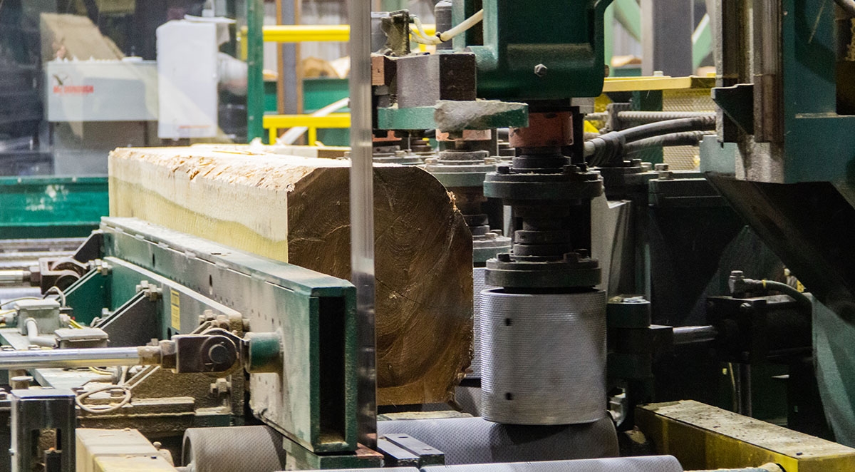 The Role of a Responsible Sawmill in Hardwood Supply Chains